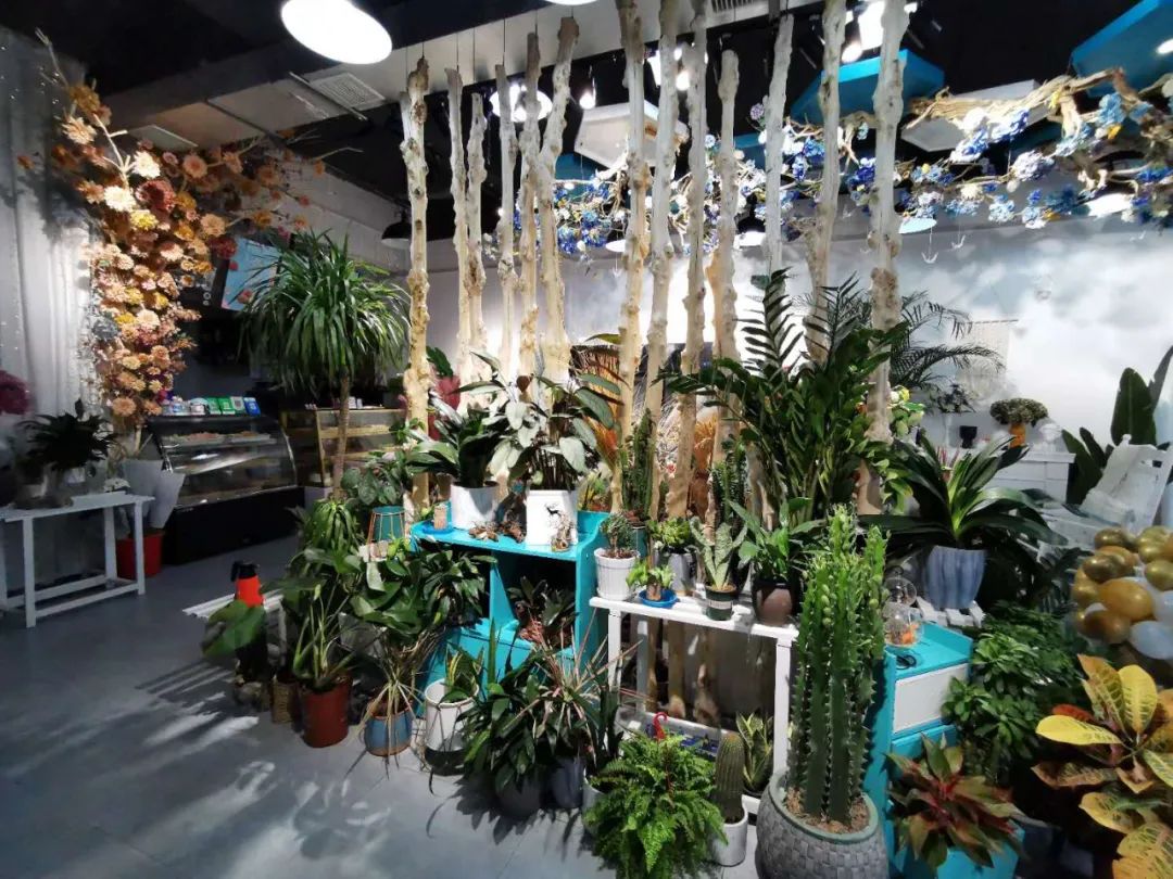 博思花藝婚慶教育，婚慶培訓，花藝培訓，插花培訓，花藝師培訓，主持人培訓，商務主持人培訓，花店運營培訓，花店全系統(tǒng)營銷，小白開花店，小白學主持，金璽棠婚慶酒店，金璽棠總部，鄭州金麻雀教育科技有限公司