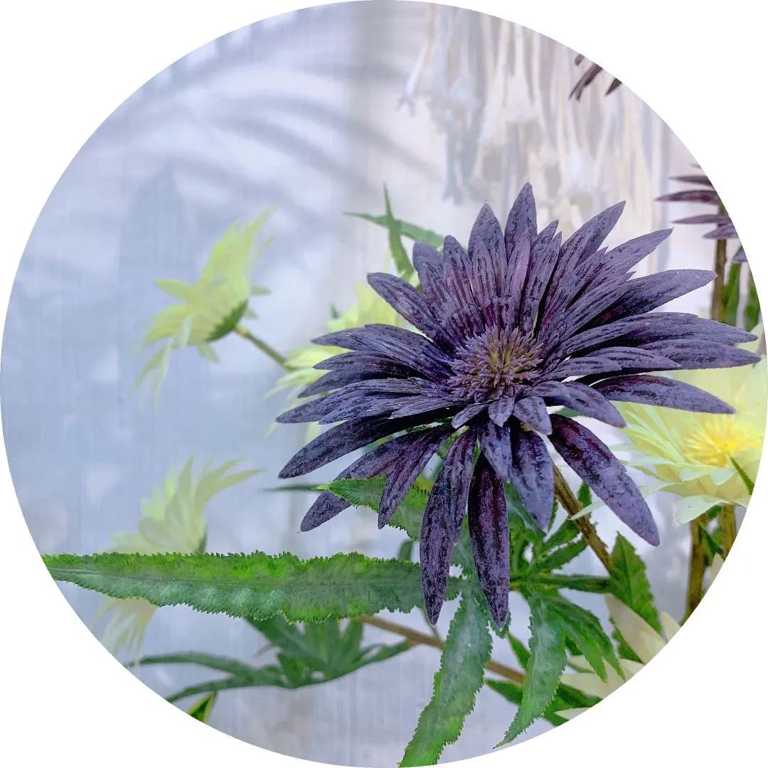 博思花藝婚慶教育，婚慶培訓，花藝培訓，插花培訓，花藝師培訓，主持人培訓，商務主持人培訓，花店運營培訓，花店全系統(tǒng)營銷，小白開花店，小白學主持，金璽棠婚慶酒店，金璽棠總部，鄭州金麻雀教育科技有限公司