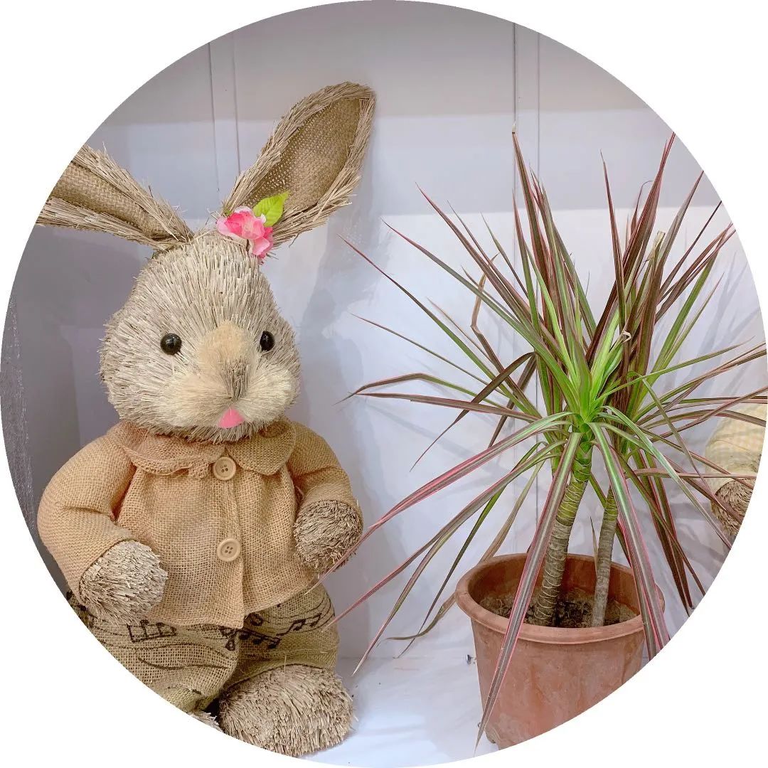 博思花藝婚慶教育，婚慶培訓，花藝培訓，插花培訓，花藝師培訓，主持人培訓，商務主持人培訓，花店運營培訓，花店全系統(tǒng)營銷，小白開花店，小白學主持，金璽棠婚慶酒店，金璽棠總部，鄭州金麻雀教育科技有限公司