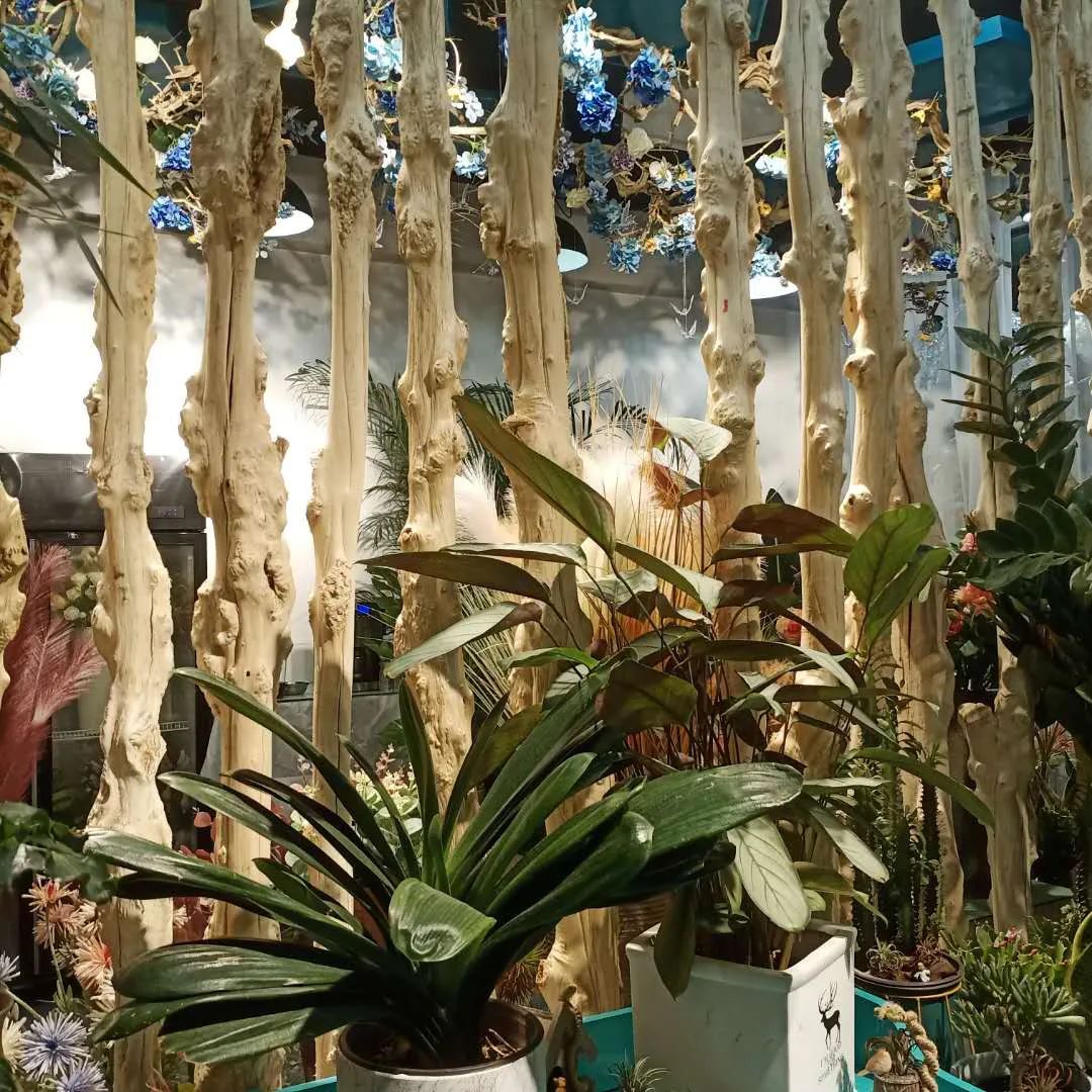 博思花藝婚慶教育，婚慶培訓，花藝培訓，插花培訓，花藝師培訓，主持人培訓，商務主持人培訓，花店運營培訓，花店全系統(tǒng)營銷，小白開花店，小白學主持，金璽棠婚慶酒店，金璽棠總部，鄭州金麻雀教育科技有限公司