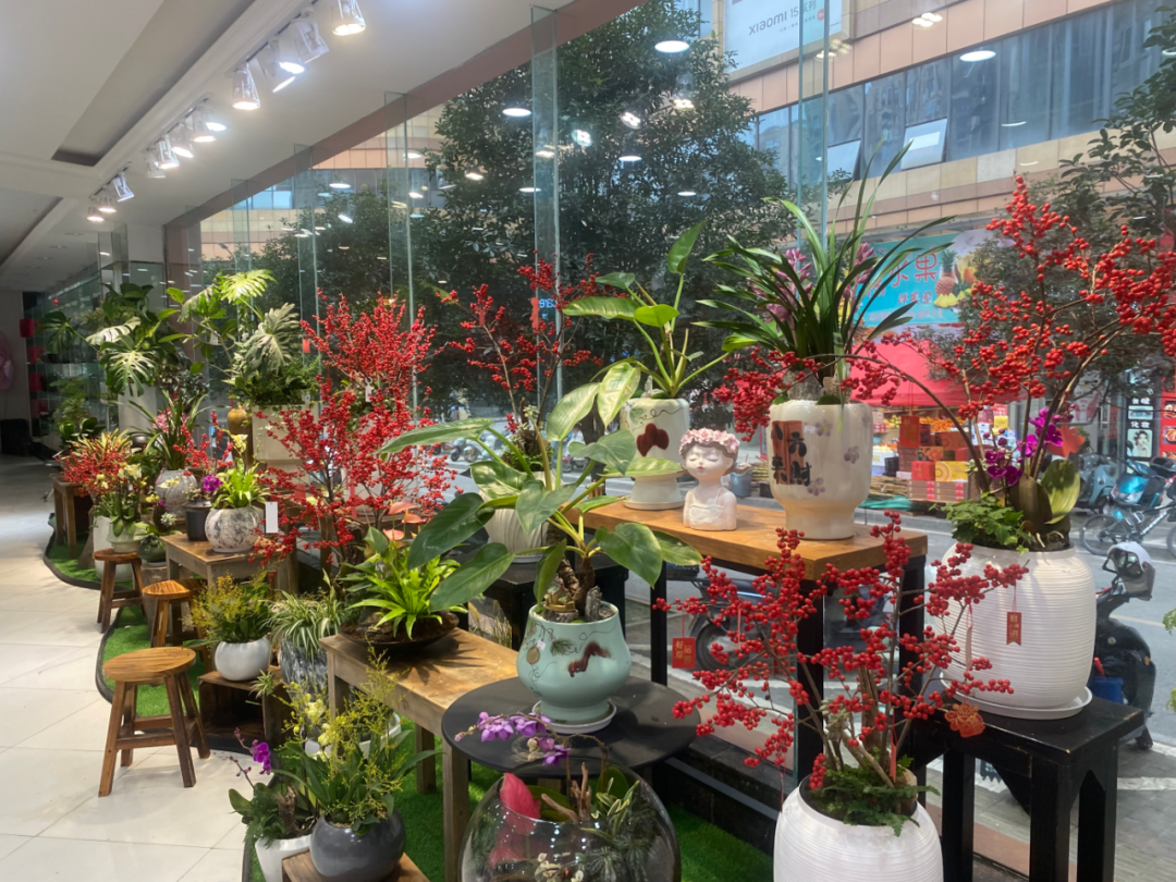 博思花藝婚慶教育，婚慶培訓(xùn)，花藝培訓(xùn)，插花培訓(xùn)，花藝師培訓(xùn)，主持人培訓(xùn)，商務(wù)主持人培訓(xùn)，花店運營培訓(xùn)，花店全系統(tǒng)營銷，小白開花店，小白學(xué)主持，金璽棠婚慶酒店，金璽棠總部，鄭州金麻雀教育科技有限公司