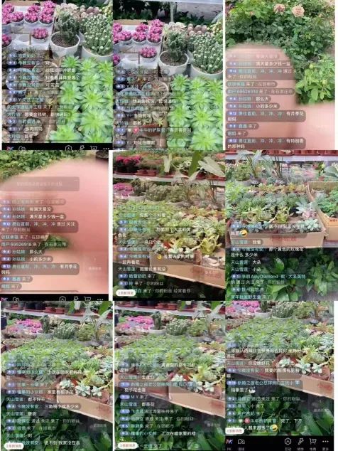 博思花藝婚慶教育，婚慶培訓(xùn)，花藝培訓(xùn)，插花培訓(xùn)，花藝師培訓(xùn)，主持人培訓(xùn)，商務(wù)主持人培訓(xùn)，花店運營培訓(xùn)，花店全系統(tǒng)營銷，小白開花店，小白學(xué)主持，金璽棠婚慶酒店，金璽棠總部，鄭州金麻雀教育科技有限公司