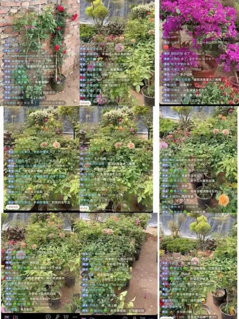 博思花藝婚慶教育，婚慶培訓(xùn)，花藝培訓(xùn)，插花培訓(xùn)，花藝師培訓(xùn)，主持人培訓(xùn)，商務(wù)主持人培訓(xùn)，花店運營培訓(xùn)，花店全系統(tǒng)營銷，小白開花店，小白學(xué)主持，金璽棠婚慶酒店，金璽棠總部，鄭州金麻雀教育科技有限公司