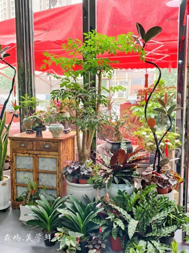 博思花藝婚慶教育，婚慶培訓(xùn)，花藝培訓(xùn)，插花培訓(xùn)，花藝師培訓(xùn)，主持人培訓(xùn)，商務(wù)主持人培訓(xùn)，花店運(yùn)營(yíng)培訓(xùn)，花店全系統(tǒng)營(yíng)銷，小白開(kāi)花店，小白學(xué)主持，金璽棠婚慶酒店，金璽棠總部，鄭州金麻雀教育科技有限公司