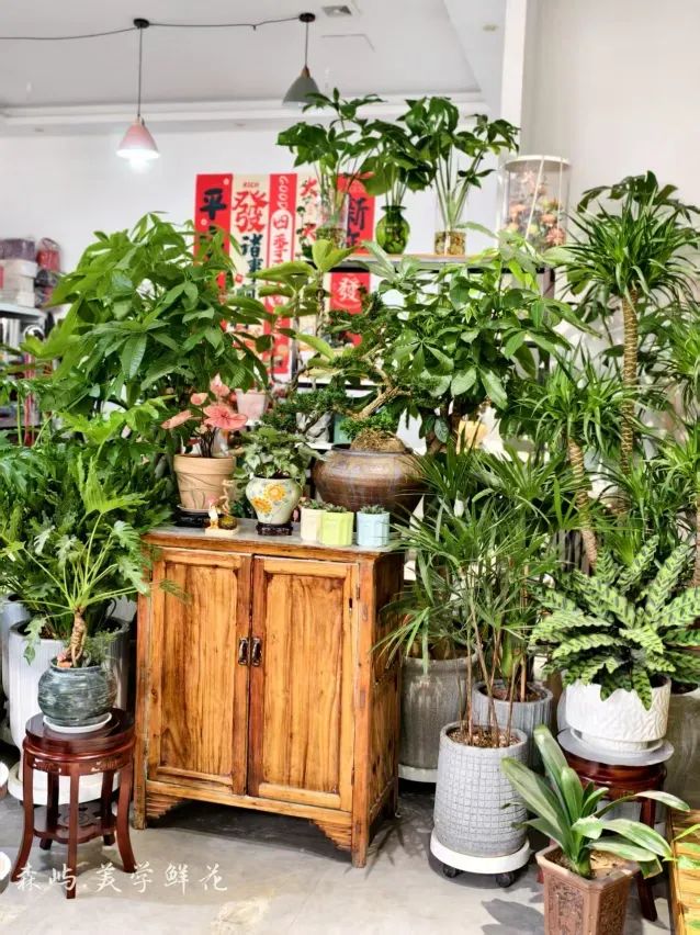 博思花藝婚慶教育，婚慶培訓(xùn)，花藝培訓(xùn)，插花培訓(xùn)，花藝師培訓(xùn)，主持人培訓(xùn)，商務(wù)主持人培訓(xùn)，花店運(yùn)營(yíng)培訓(xùn)，花店全系統(tǒng)營(yíng)銷，小白開(kāi)花店，小白學(xué)主持，金璽棠婚慶酒店，金璽棠總部，鄭州金麻雀教育科技有限公司