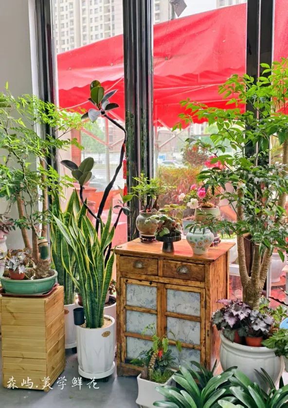 博思花藝婚慶教育，婚慶培訓(xùn)，花藝培訓(xùn)，插花培訓(xùn)，花藝師培訓(xùn)，主持人培訓(xùn)，商務(wù)主持人培訓(xùn)，花店運(yùn)營(yíng)培訓(xùn)，花店全系統(tǒng)營(yíng)銷，小白開(kāi)花店，小白學(xué)主持，金璽棠婚慶酒店，金璽棠總部，鄭州金麻雀教育科技有限公司