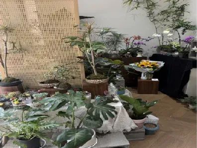 博思花藝婚慶教育，婚慶培訓，花藝培訓，插花培訓，花藝師培訓，主持人培訓，商務(wù)主持人培訓，花店運營培訓，花店全系統(tǒng)營銷，小白開花店，小白學主持，金璽棠婚慶酒店，金璽棠總部，鄭州金麻雀教育科技有限公司